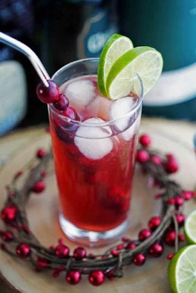 Cranberry Whiskey Ginger Cocktail