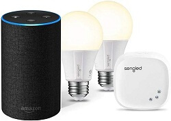 Amazon Echo Light Kit