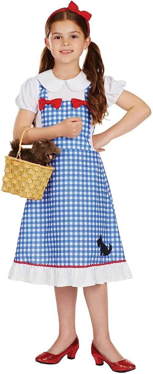 Take a trip down the Yellow Brick Road with a Dorothy costume.