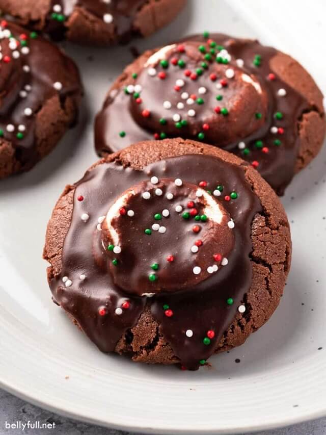 Looking for the best cookie exchange ideas? Try classic chocolate chip, melt-in-your-mouth shortbread, festive gingerbread, and irresistible peanut butter blossoms. Share the joy of homemade treats and indulge in a cookie extravaganza with friends and family! #CookieExchangeRecipes #CookieExchangeIdeas