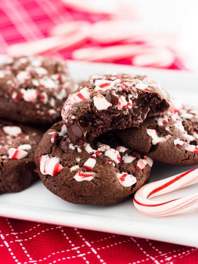 Looking for the best cookie exchange ideas? Try classic chocolate chip, melt-in-your-mouth shortbread, festive gingerbread, and irresistible peanut butter blossoms. Share the joy of homemade treats and indulge in a cookie extravaganza with friends and family! #CookieExchangeRecipes #CookieExchangeIdeas